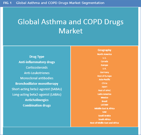 Asthma And COPD Drugs Market Size, Share And Forecast To 2025